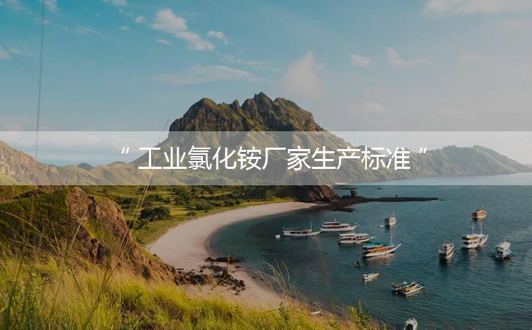 工業(yè)氯化銨廠家生產(chǎn)標(biāo)準(zhǔn)，生產(chǎn)過程進(jìn)行嚴(yán)密的監(jiān)控！